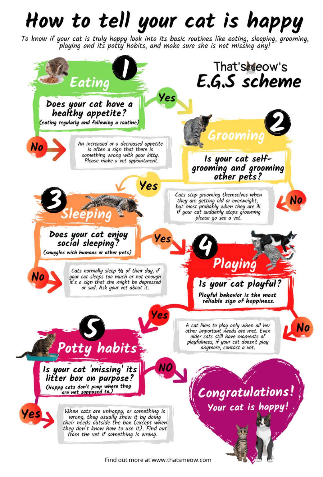 How To Recognize And Maintain A Happy Cat? How To Recognize And Maintain A Happy Cat?