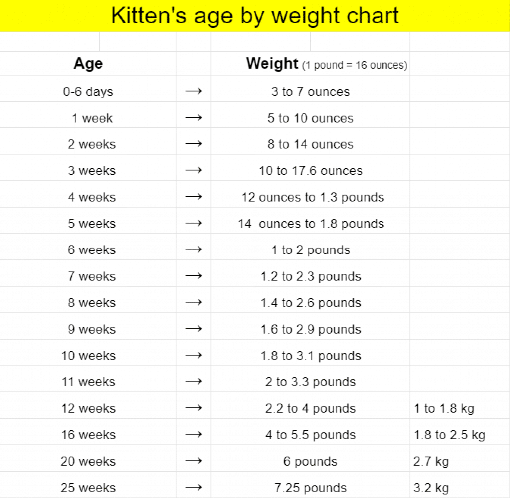 animal age excersize by teeth