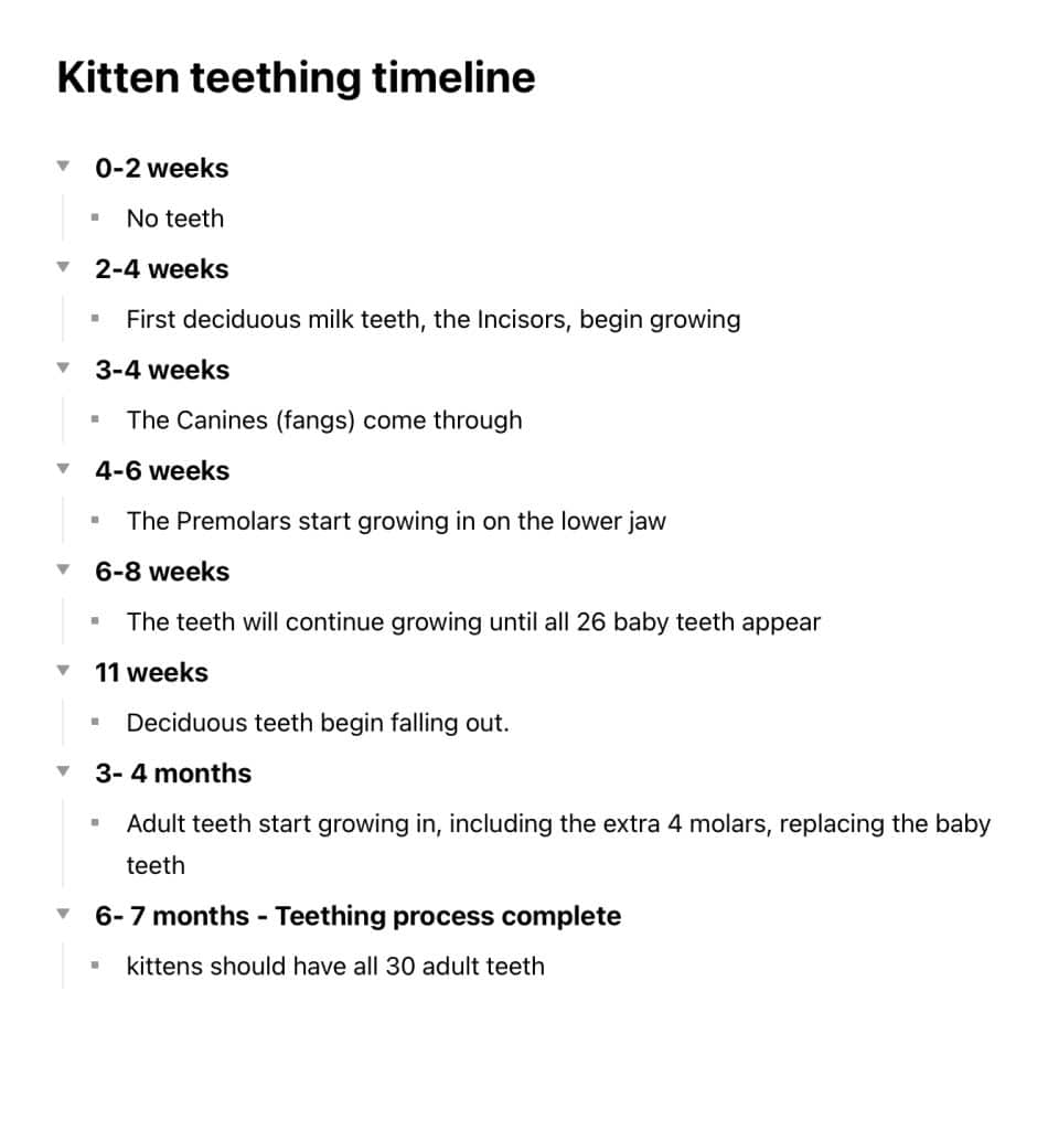 Telling a cat’s age by its teeth [or the lack of them] NEW