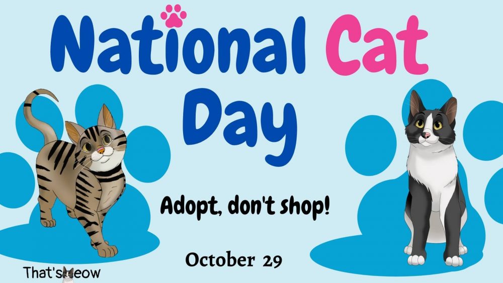 Full List of Official Cat Days to Pinpoint in Your Calendar!