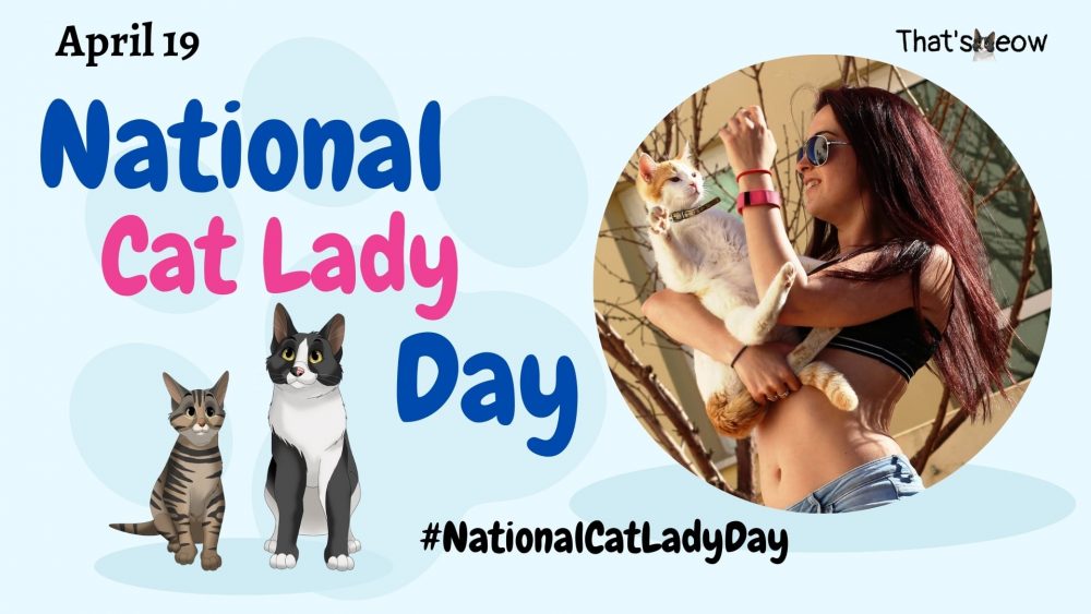 Full List of Official Cat Days to Pinpoint in Your Calendar!