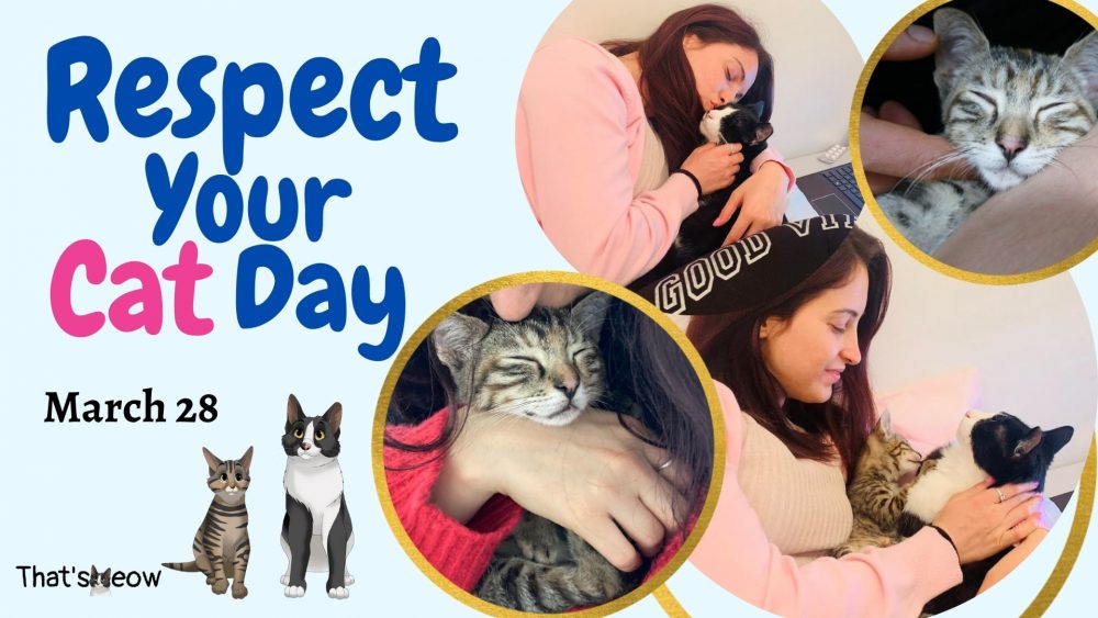 Respect Your Cat Day 2024 Date gilli marika