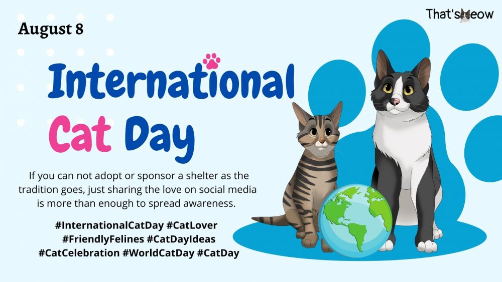 Full List of Official Cat Days to Pinpoint in Your Calendar!