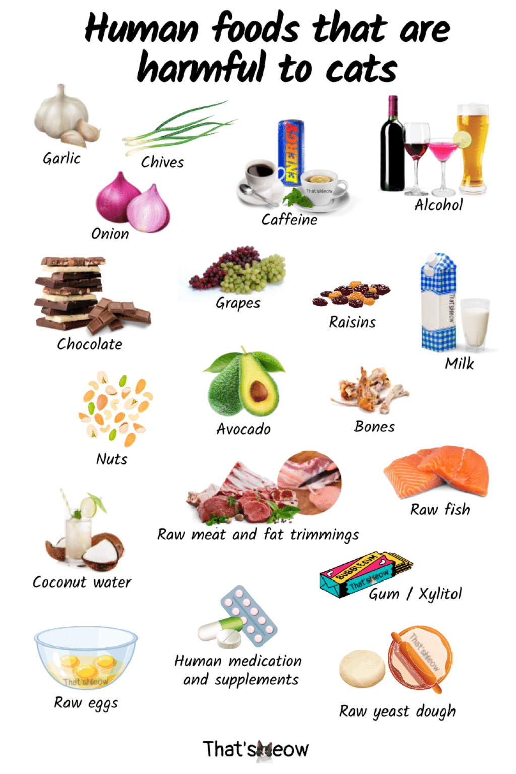 Toxic Foods For Cats 15 UNSAFE Foods Cats Shouldn t Eat 