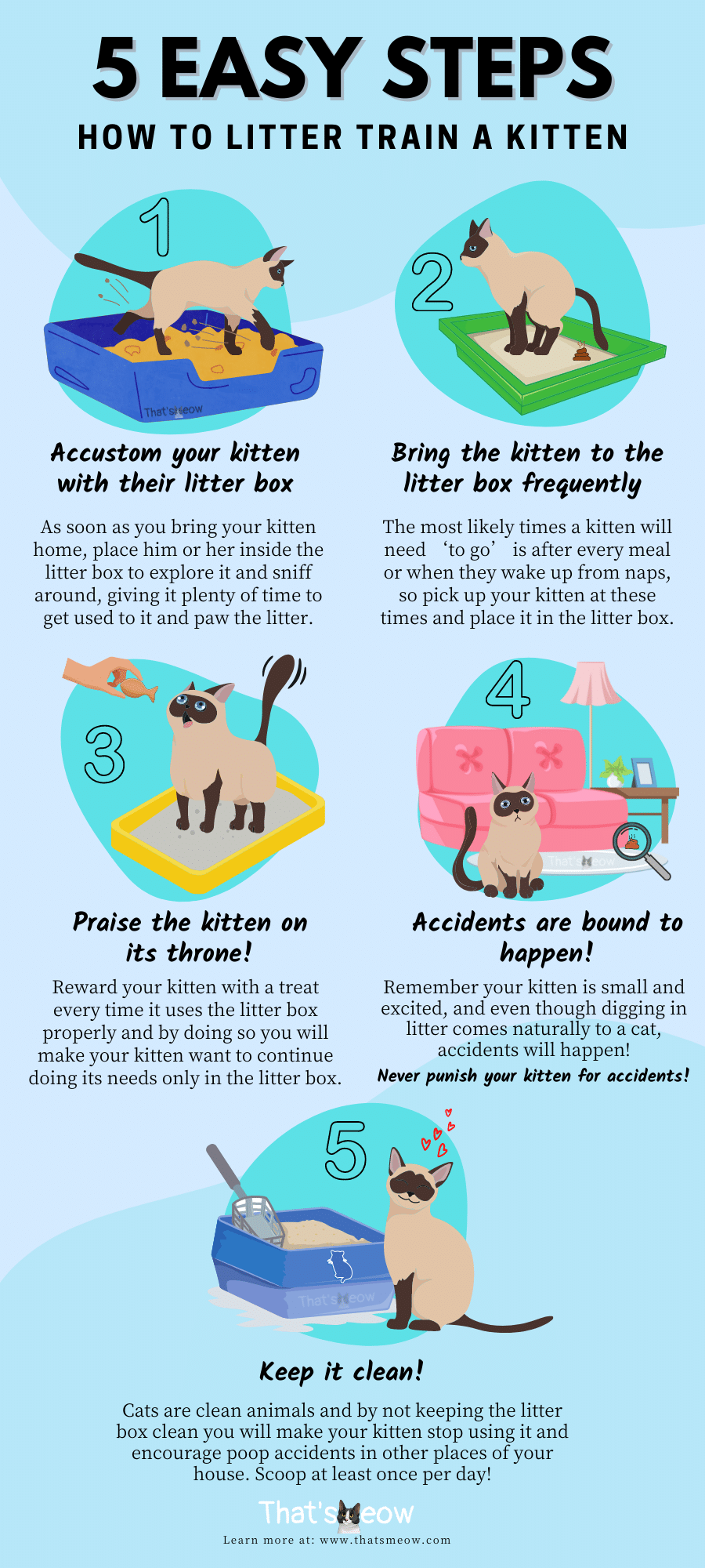 How to shop potty train kittens