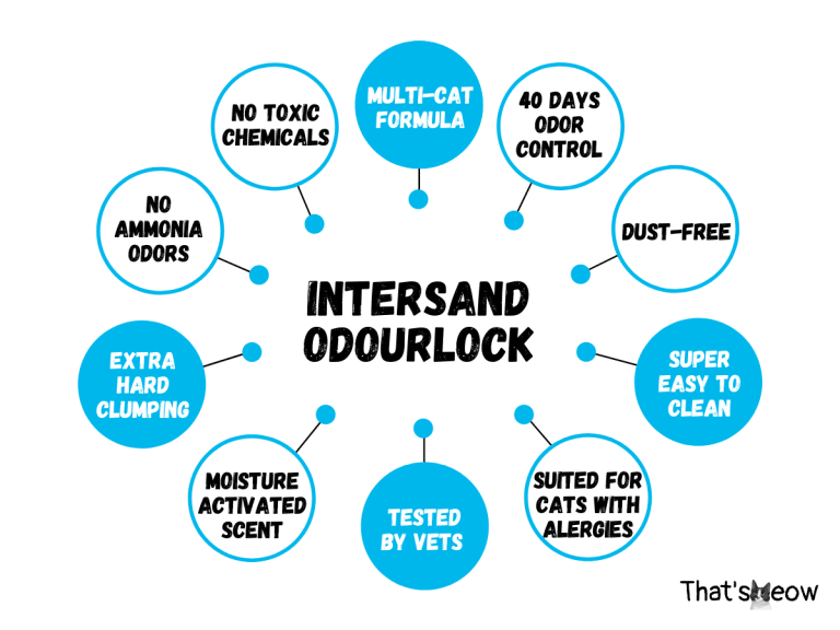 Intersand Cat Litter Review OdourLock, Ecolife, Classic