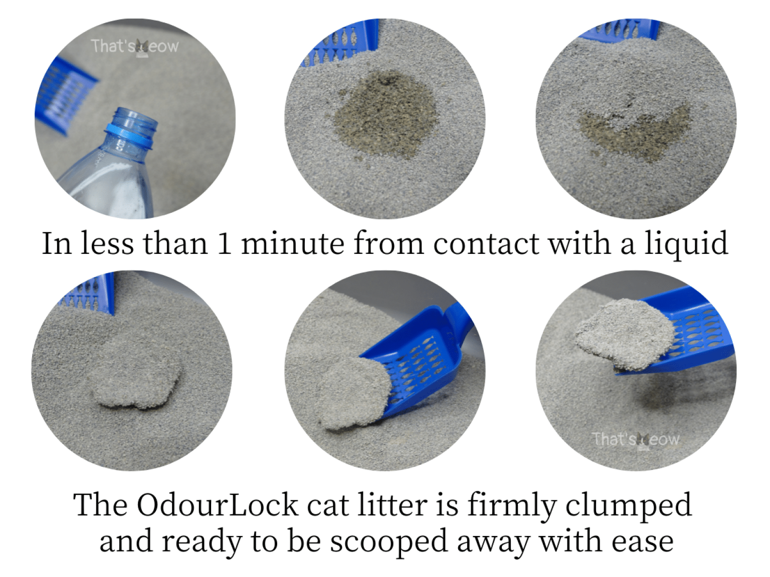 Intersand Cat Litter Review OdourLock, Ecolife, Classic