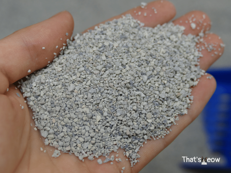 Intersand Cat Litter Review OdourLock, Ecolife, Classic