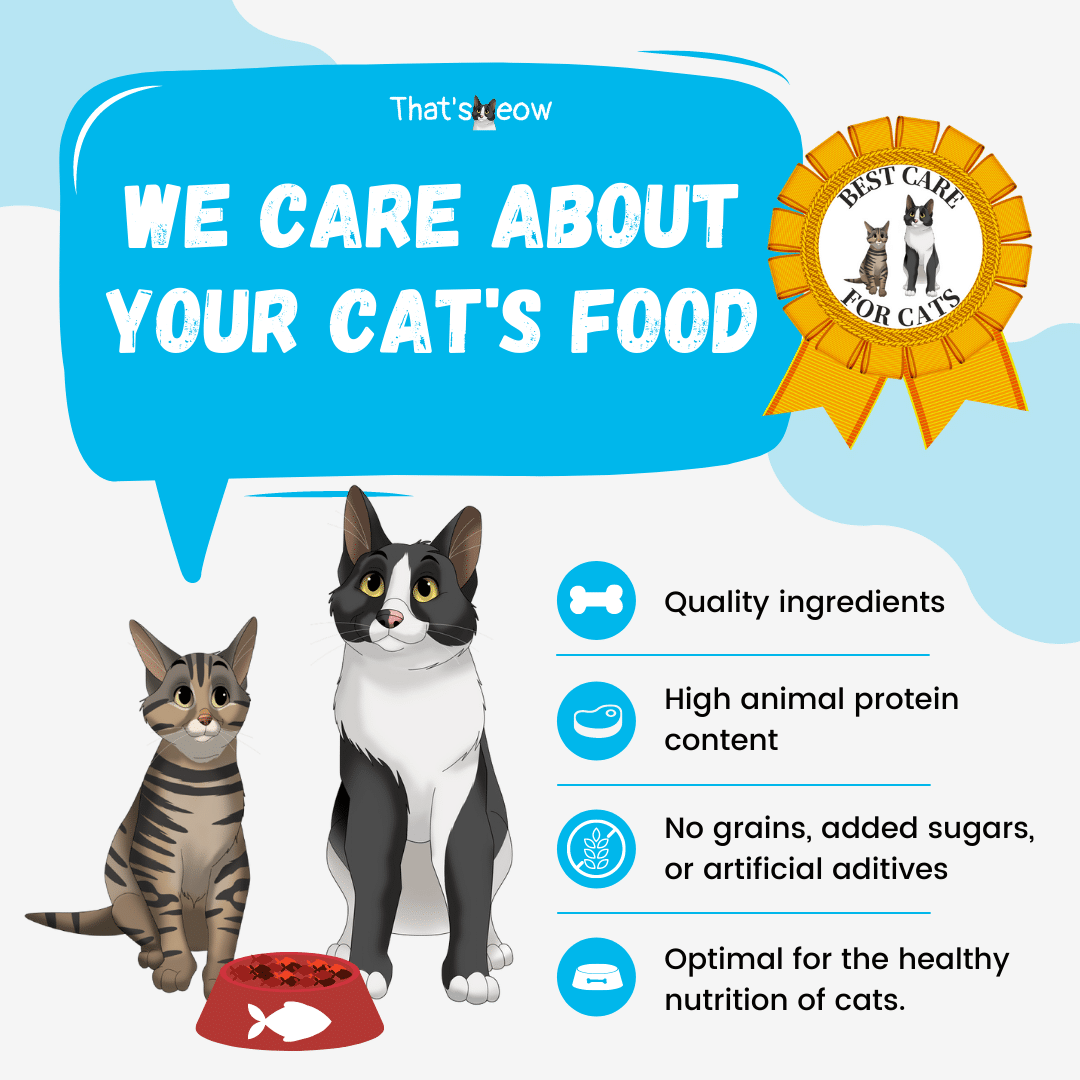 Top 10 Best High Protein Dry Cat Food 2022 [Also GrainFree]