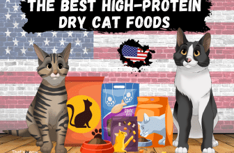 high protein dry cat food