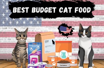 best budget cat food