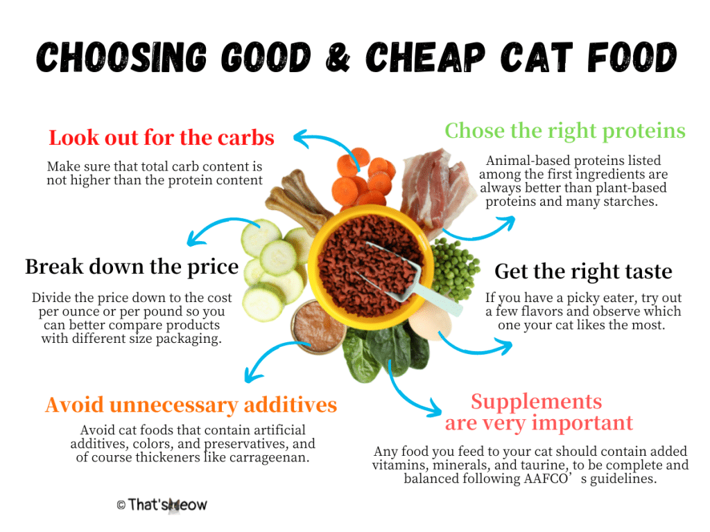 Best Budget Cat Food 2022 Quality & Affordable [Wet & Dry]