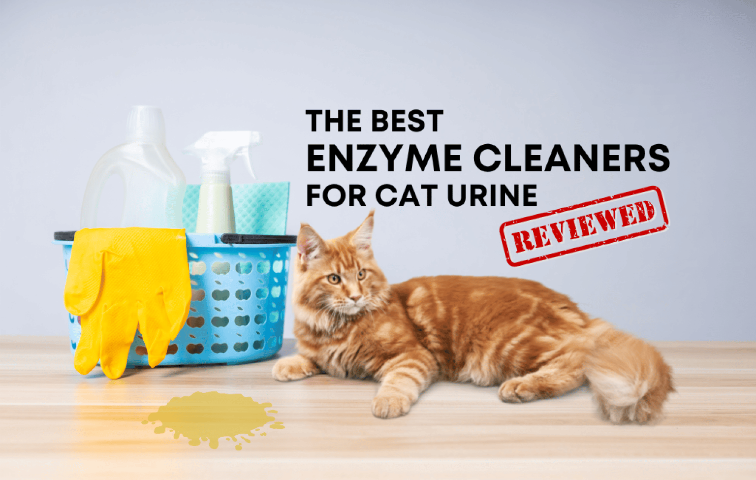 Top 10 Best Enzyme Cleaners For Removing Cat Urine [Reviews]