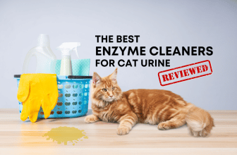 best 10 Enzime Cleaners for cat urine stains and odor