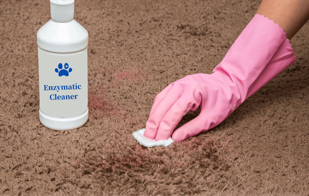 Top 10 Best Enzyme Cleaners For Removing Cat Urine [Reviews]