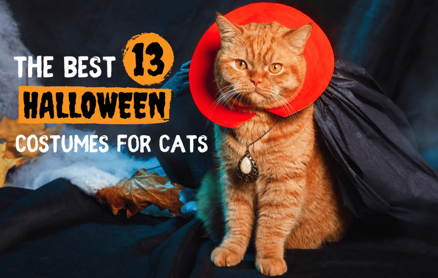 13 Best Halloween Costumes for Cats [Safe & Easy to Wear]