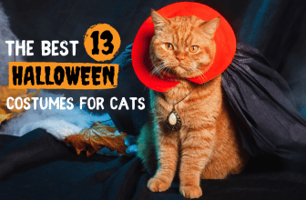 halloween costumes for cats