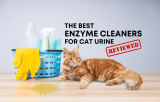 Top 10 best enzyme cleaners for cat urine stains and odors [All pet-safe]
