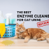 Cat urine guide: Is bad smell normal?
