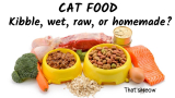 Cat food – A complete Guide to cat nutrition