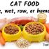 New breeds of cat