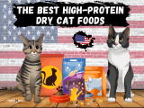 High protein dry cat food